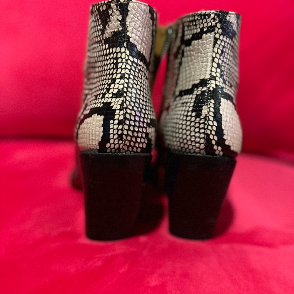 Chloe Python Print Ankle Boots Size 41.5 Fits Lik… - image 3